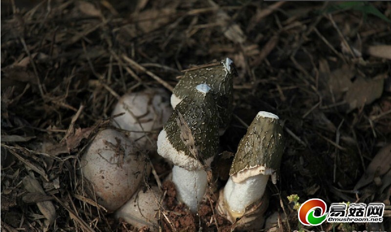 QQ截图20140514154351