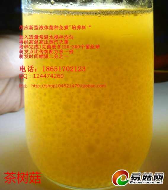 640 茶树菇101