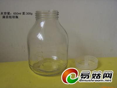 u=1967085794,3631299598&fm=23&gp=0