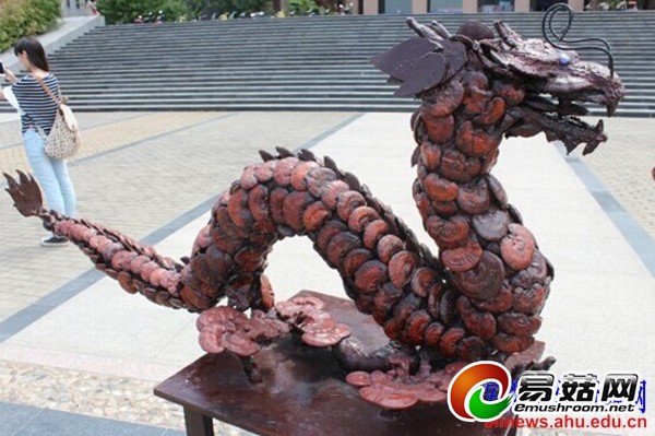 a9e67654-3172-437c-ae25-fa7df5bcb73b