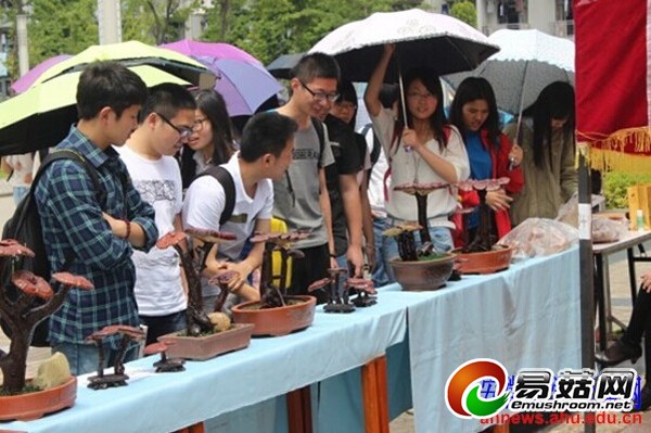 5ed09606-9e96-4c72-8611-6ad0394506ad