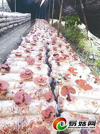 20140519202036_8ld447hh1t