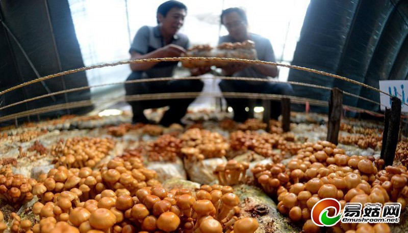 1110855197_14010707069791n