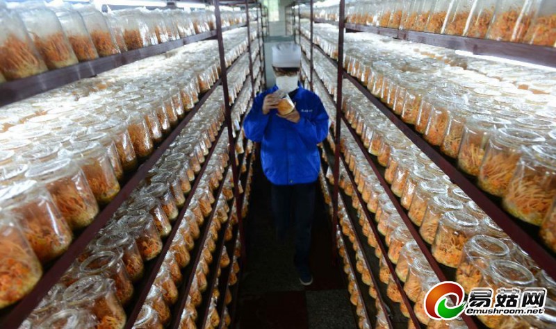 1110859185_14010769863211n