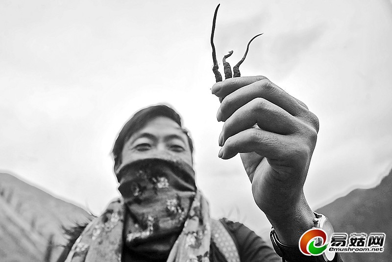 1110907328_14013224262041n