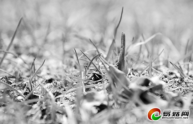 1110907328_14013224262091n