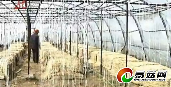 QQ截图20140605111937