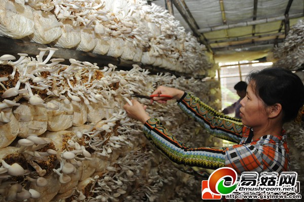 1110998454_14019374026991n