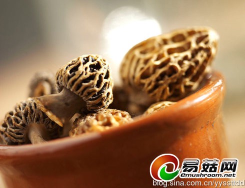 001t7hPsgy6FyRKTcyr0f&690