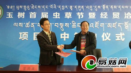 6142324086776342283_11n