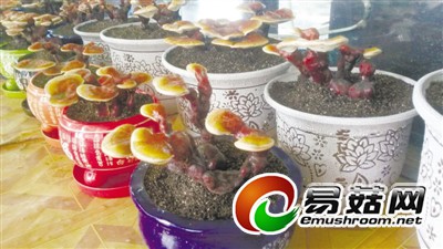 res01_attpic_brief (1)