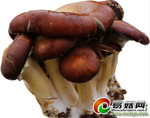 20140620132642_47392