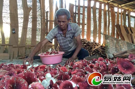 1111244508_14032528108511n