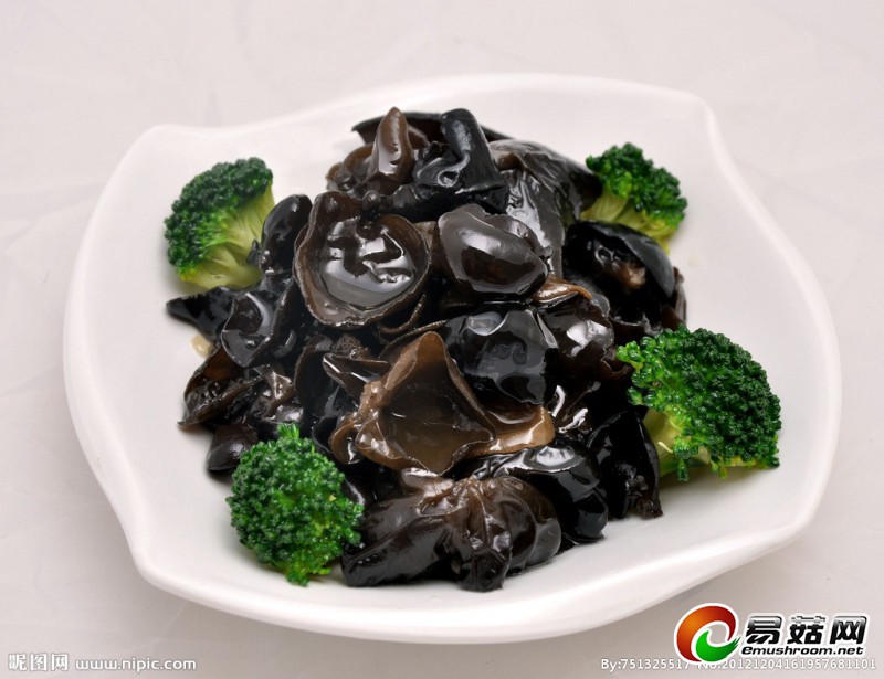 11358450_161957681101_2