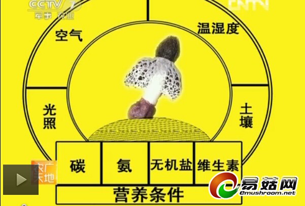 QQ截图20140625172810