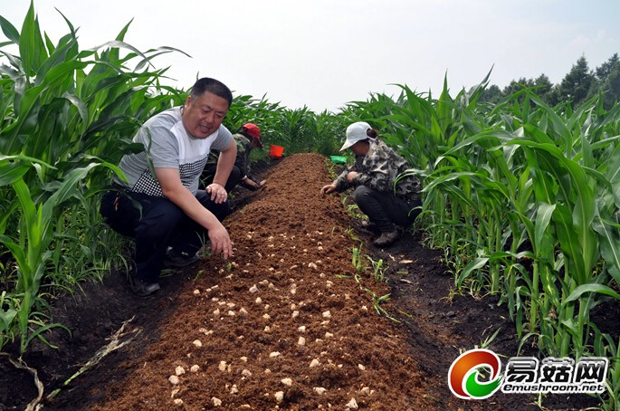 100076485_00000000d08f7a6d