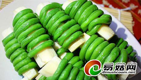 15974_140625103936_1