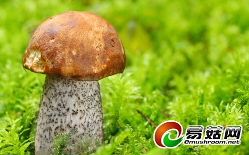 QQ截图20140630103210