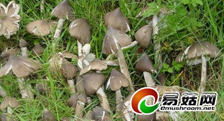 QQ截图20140701084733