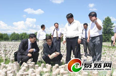 9F9CD609E78A07B7794867DC2F18F9CB (1)