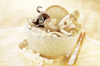 野菌飘香百业兴