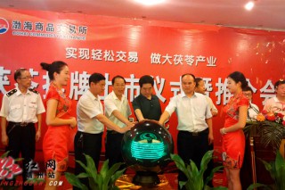 靖州茯苓抢滩电子交易平台进军国际市场