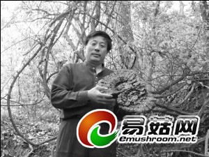 QQ截图20140707100143