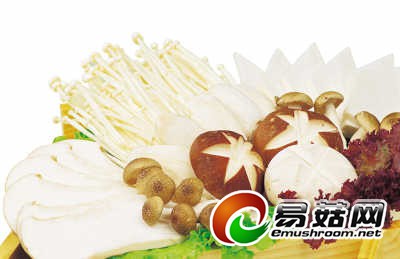 685464f1-c3af-4b14-b946-f14f95e45d15