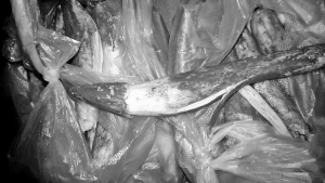 20140708A11_res08_attpic_icon