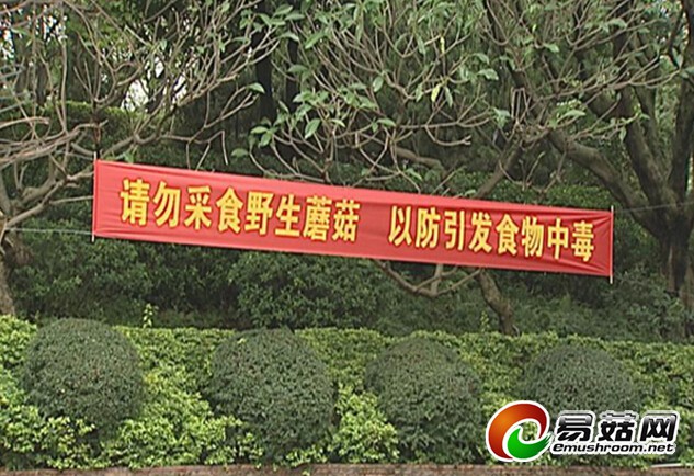 QQ截图20140708142536