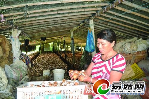 0022196f54551524d9394c (1)