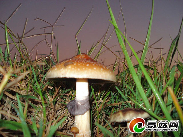 txKQcDh2QJji3qcRE_yFw4f72OP0tuJvTgIOp98nSIEgAwAAWAIAAEpQ