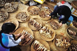 昆明干热渴让市场"涨声"一片 空调缺货野生菌价高