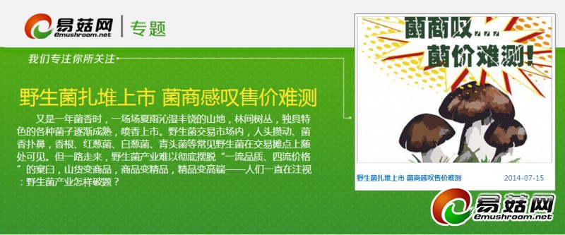 QQ截图20140716084521