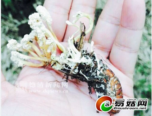 1111617069_14053894911401n