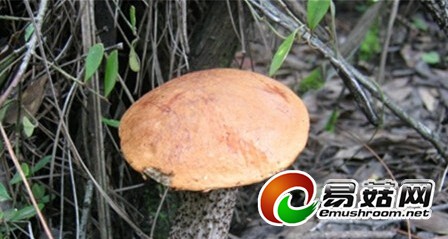 QQ截图20140717092200