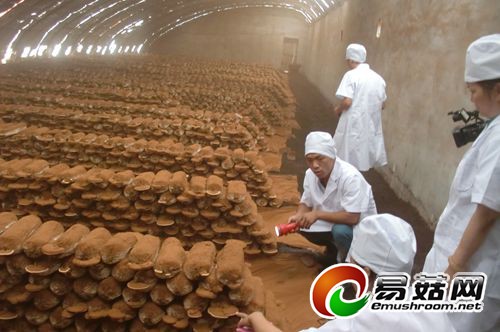 20140718104711_71841