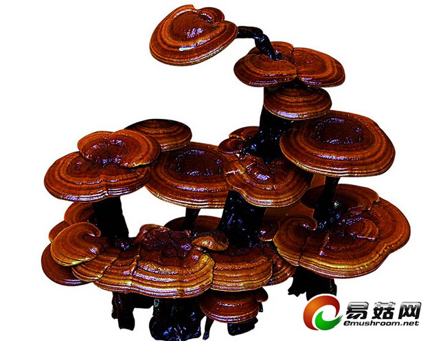 QQ截图20140719150810