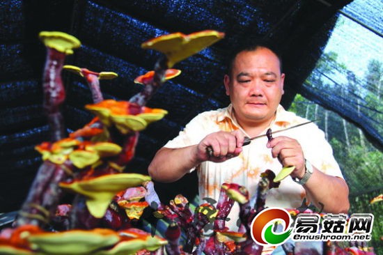 5bf48f72-1d2d-40a9-bb49-0aa95772533a