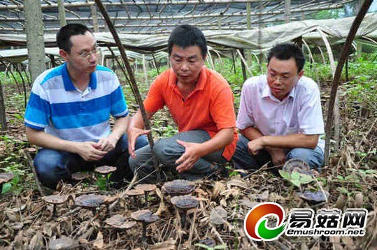 1111760935_14060934471151n