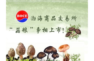 渤商所“菌企”争相上市 电商撬动资本红利