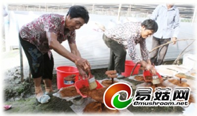 20140728150618_73401