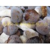 冷冻美味牛肝菌