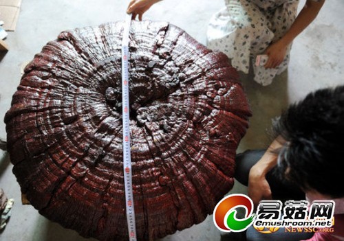 r_2014073009453199228300