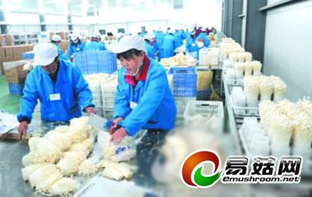 20140805091649_82392