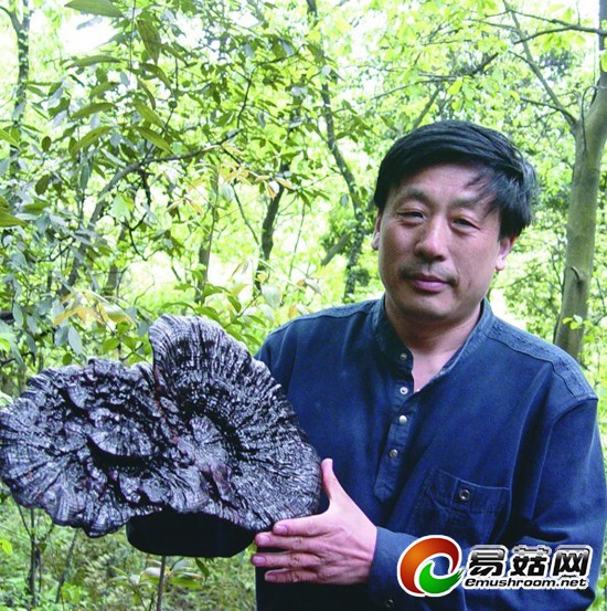 QQ图片20140805153043