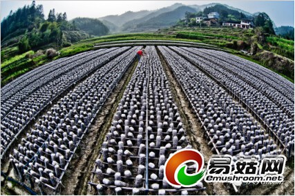 QQ截图20140806083810