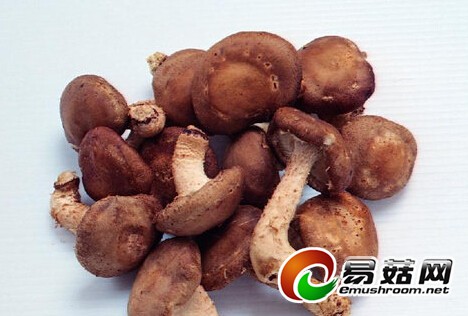 QQ截图20140806093624