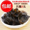 东北野生无根黑木耳秋木耳批发