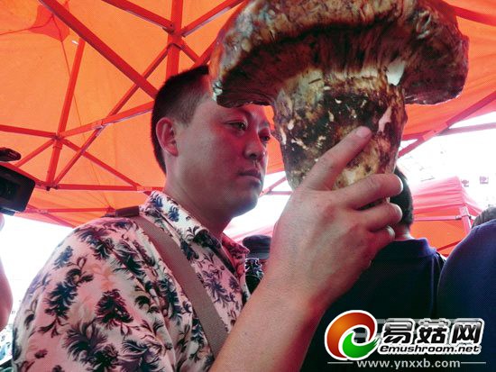 6ec8d041-16c8-4db0-a3b6-bd82ec7d6e0a